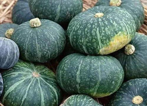 吃海南沙地蜜瓜,海南沙地蜜瓜的独特魅力